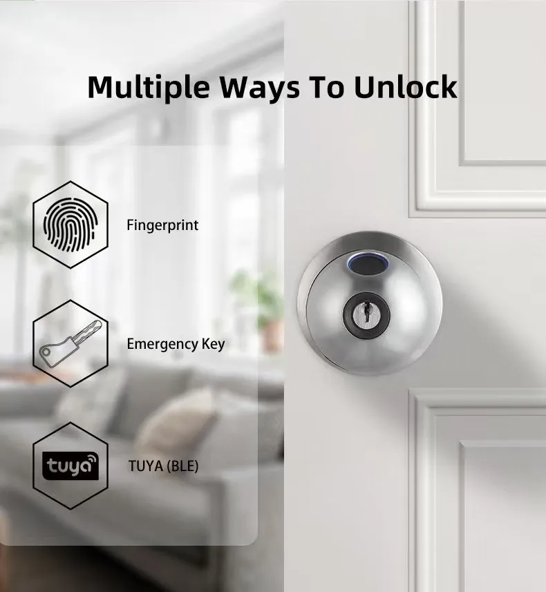 2025 New Model Tuya APP Fingerprint Digital Round Knob Ball Door Lock