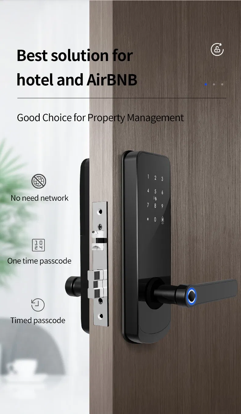 Door Handle Wireless Biometric Fingerprint Digital Cylinder WiFi Smart Door Locks