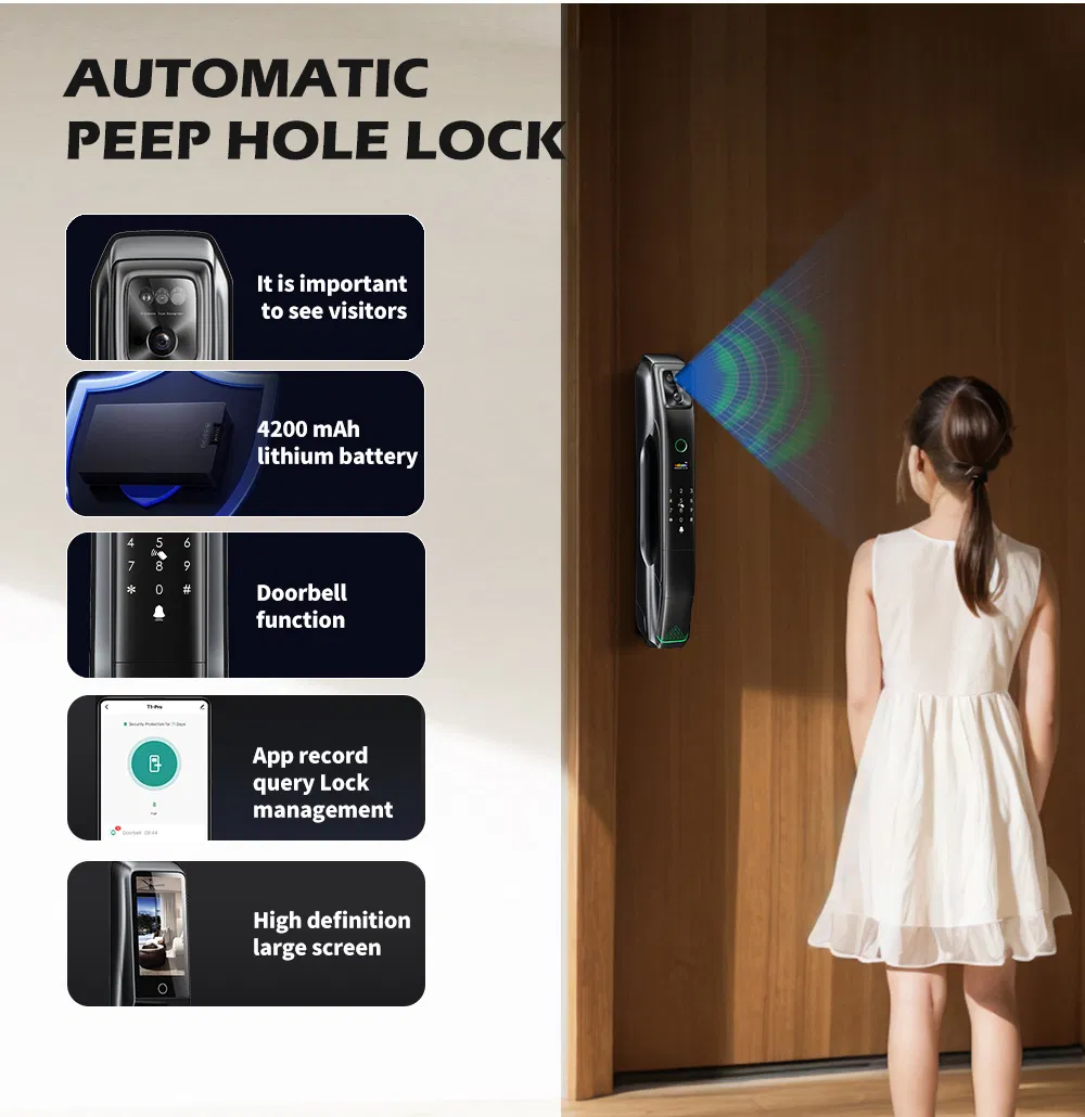 2024 New Product 6085 Mortise Luxury Matt Black Automatic 9 Languages 3D Face Recognition Smart Door Lock