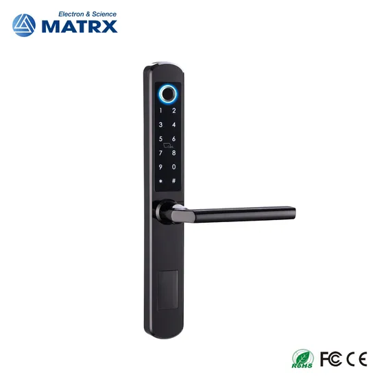 Waterproof Stainless Steel 304 Fingerprint Password Keyless Entry Tuya Samrt Lock