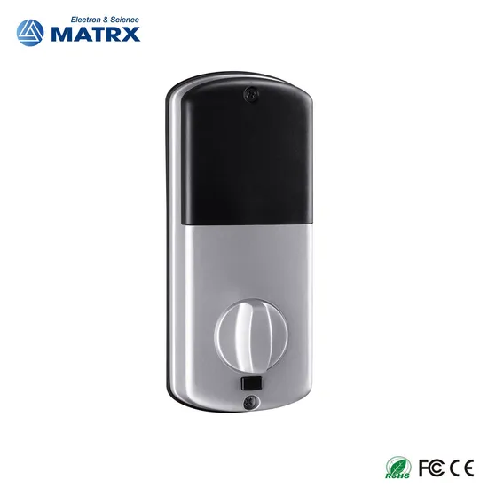 Electronic Fingerprint WiFi Tuya Code RFID Card Smart Door Lock