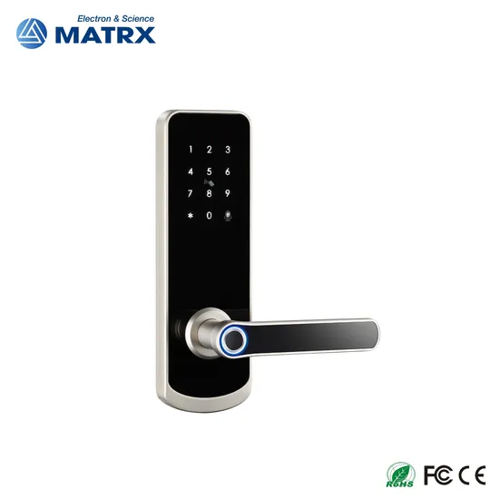 OEM Cutomizied with Tuya APP Fingerprint Cylinder Smart Door Lock