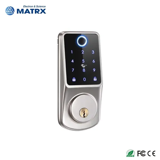 Electronic Fingerprint WiFi Tuya Code RFID Card Smart Door Lock