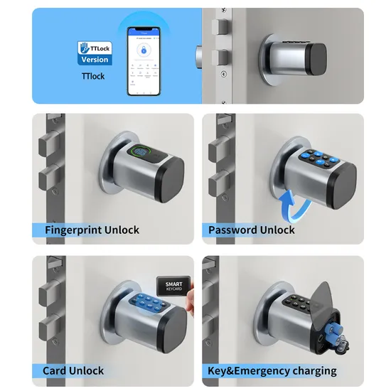 Digital Biometric Fingerprint and Password Intelligent Cylinder Smart Lock with Ttlock APP