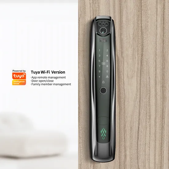 F10 3D Face Recognition Autoclose Fingerprint Digital Electronic Camera Tuya APP Wi-Fi Smart Door Lock with Eye Scanner