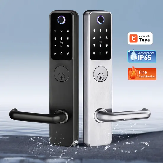 New Product Tuya - System Smart Lock with Waterproof and Fire - Proof Certifications