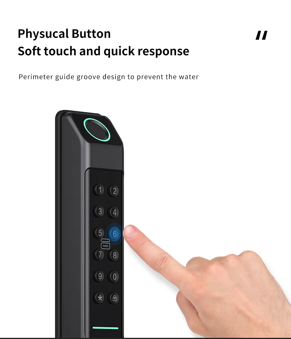 Glass Door and Wooden Door Pull Handle Electronic Security Lock Ttlock Smart Door Lock