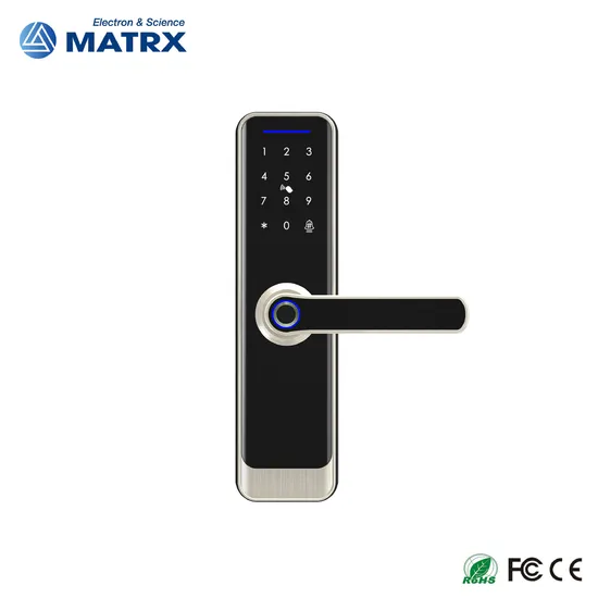 Amazon Intelligent Fingerprint with APP Smart Card Safe Key Door Lock