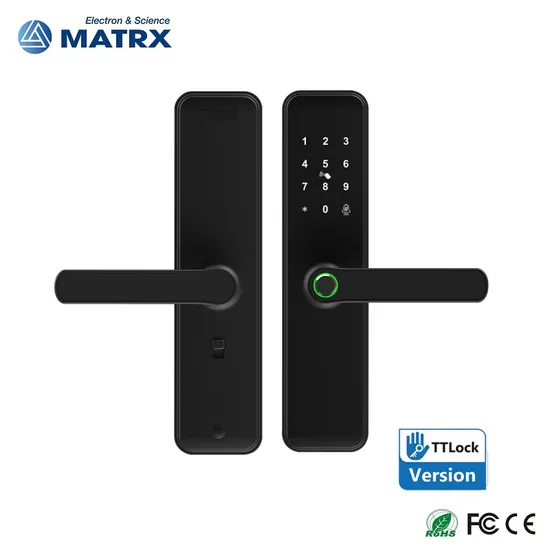 WiFi Fingerprint Handle Door Lock Long Distance Control Electronic Tuya APP