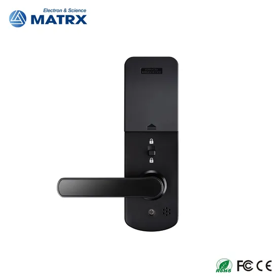 Door Handle Wireless Biometric Fingerprint Digital Cylinder WiFi Smart Door Locks