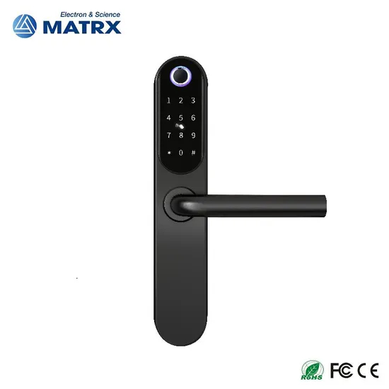 2023 304 Stainless Steel Smart Door Lock with Ttlock APP