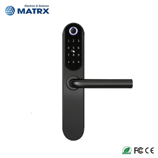 2023 304 Stainless Steel Smart Door Lock with Ttlock APP