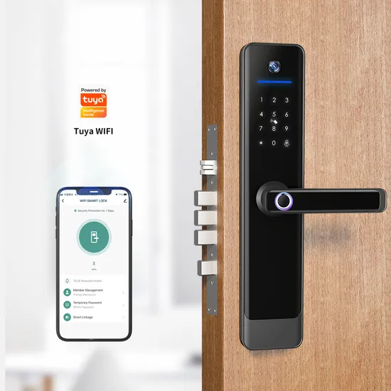 Fingerprint Tuya Smart Digital Electronic Door Lock with Built-in Camera
