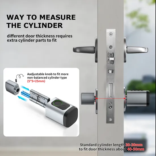 Digital Biometric Fingerprint and Password Intelligent Cylinder Smart Lock with Ttlock APP