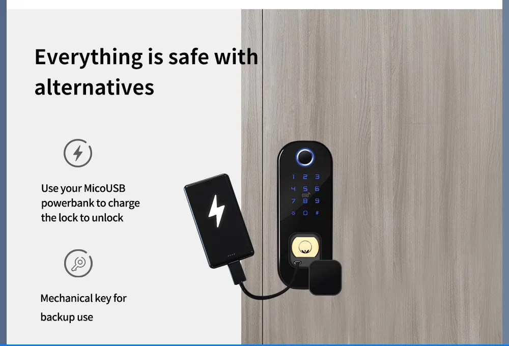 Dual Side Fingerprint Security Rim Lock Smart Lock Ttlock APP