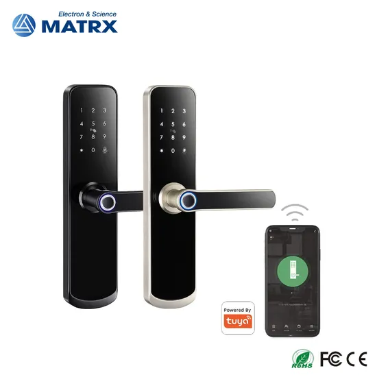 Biometric Updated Stock Elegent Door Gate Tuya WiFi Smart Lock