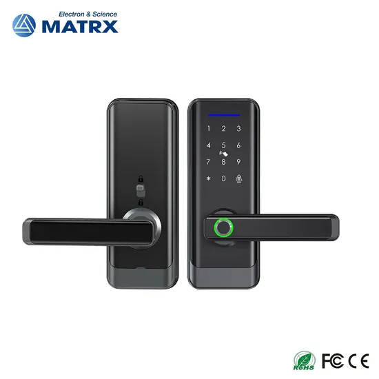 Hot Sale Ttlock APP Remote Control Fingerprint Door Lock