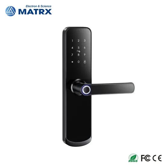 Hot Selling Biometric Waterproof Home Main Gate Digital Door Tuya Lock