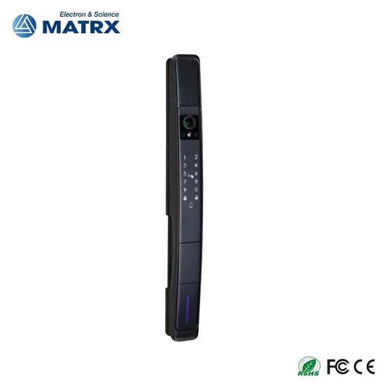 2024 New Product 3D Face Recognition Cat's Eye Camera Fingerprint Video Calling Remote Visual Intercom Smart Door Lock