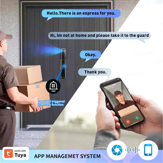 2024 New Product 6085 Mortise Luxury Matt Black Automatic 9 Languages 3D Face Recognition Smart Door Lock