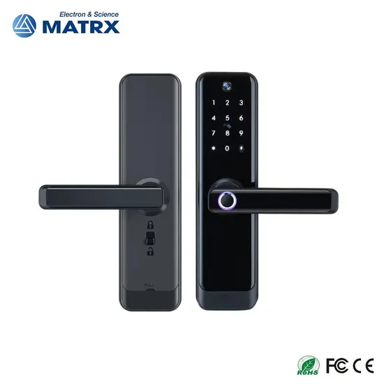 Tuya Smart Electronic Lock with Camera Electronic Cat Eye