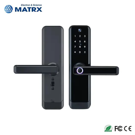 Tuya Smart Electronic Lock with Camera Electronic Cat Eye