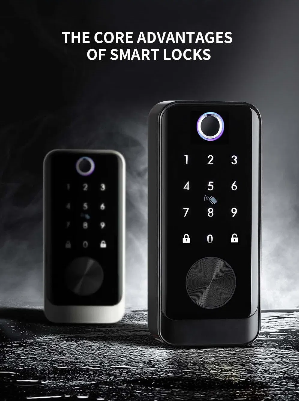 Ttlock APP Remote Control Biometric Fingerprint Password Smart Door Lock