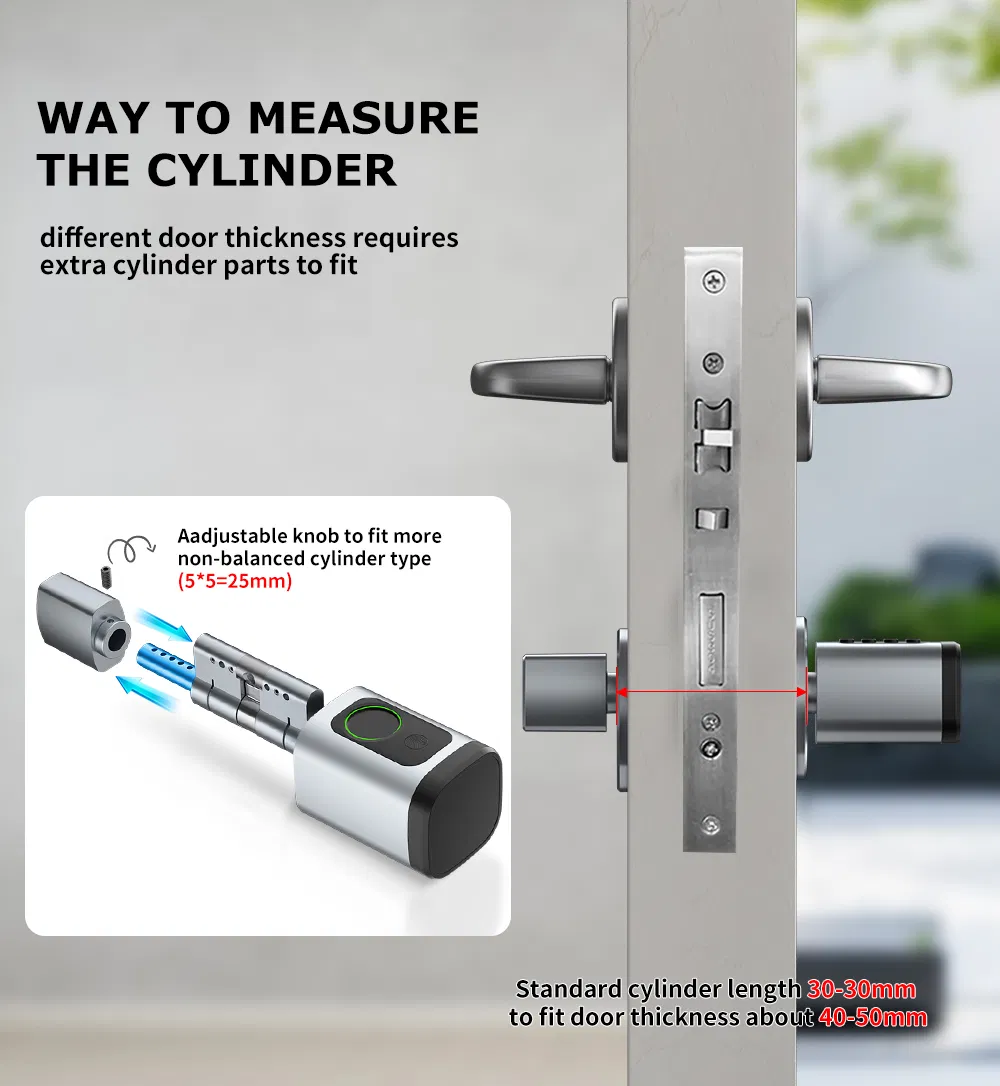 Digital Biometric Fingerprint and Password Intelligent Cylinder Smart Lock with Ttlock APP