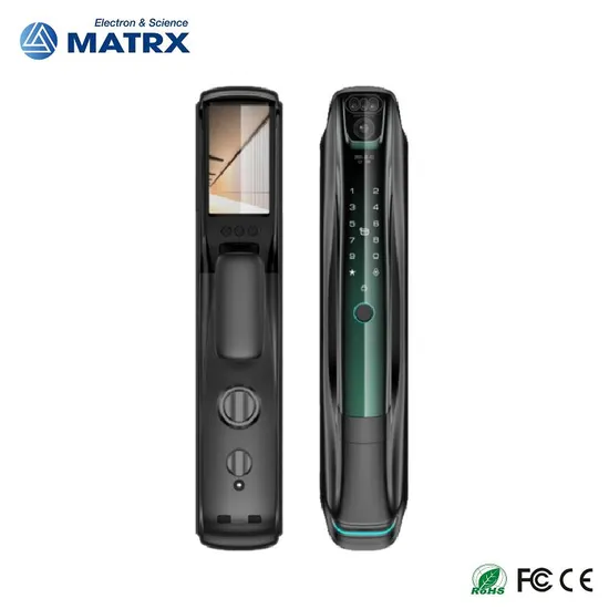High Security Intelligent Biometric Tuya WiFi 3D Face ID Lock