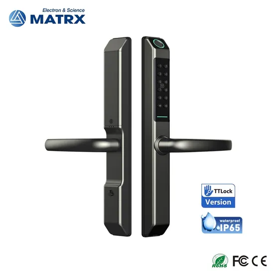 Glass Door and Wooden Door Pull Handle Electronic Security Lock Ttlock Smart Door Lock