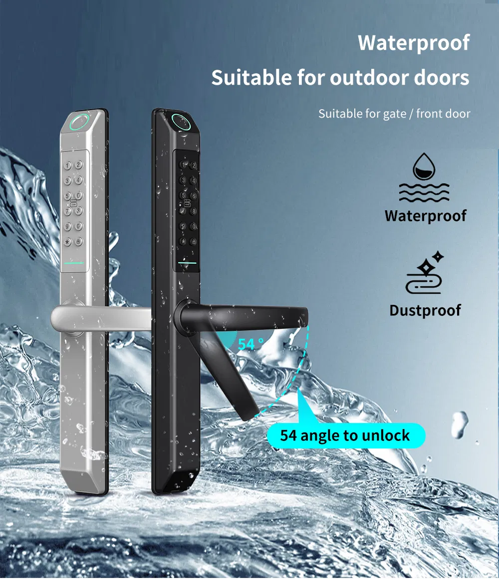 Glass Door and Wooden Door Pull Handle Electronic Security Lock Ttlock Smart Door Lock