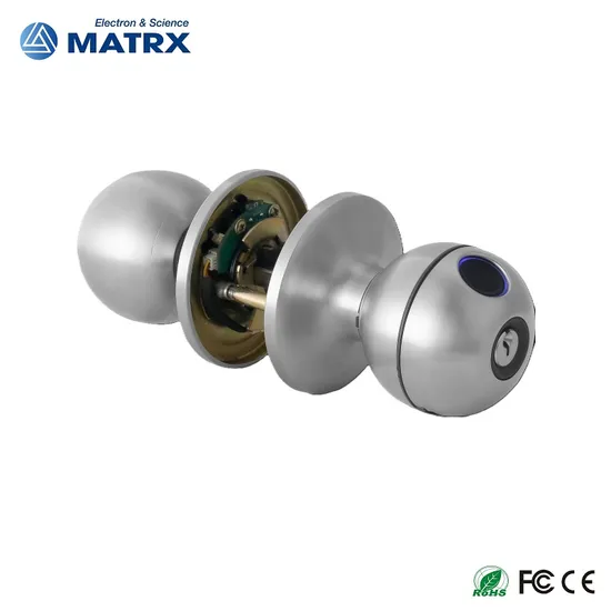 2025 New Model Tuya APP Fingerprint Digital Round Knob Ball Door Lock