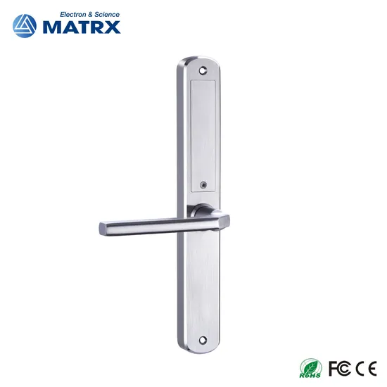 Waterproof Stainless Steel 304 Fingerprint Password Keyless Entry Tuya Samrt Lock