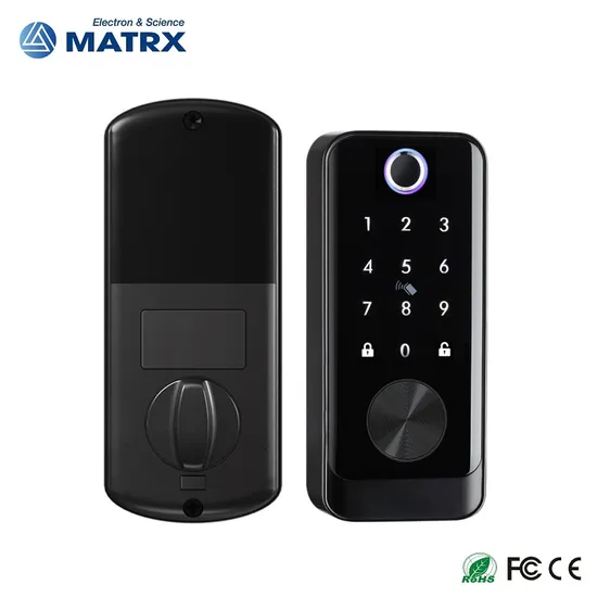 Ttlock APP Remote Control Biometric Fingerprint Password Smart Door Lock