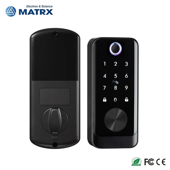 Ttlock APP Remote Control Biometric Fingerprint Password Smart Door Lock