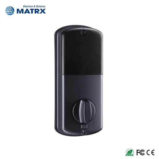 Electronic Fingerprint WiFi Tuya Code RFID Card Smart Door Lock