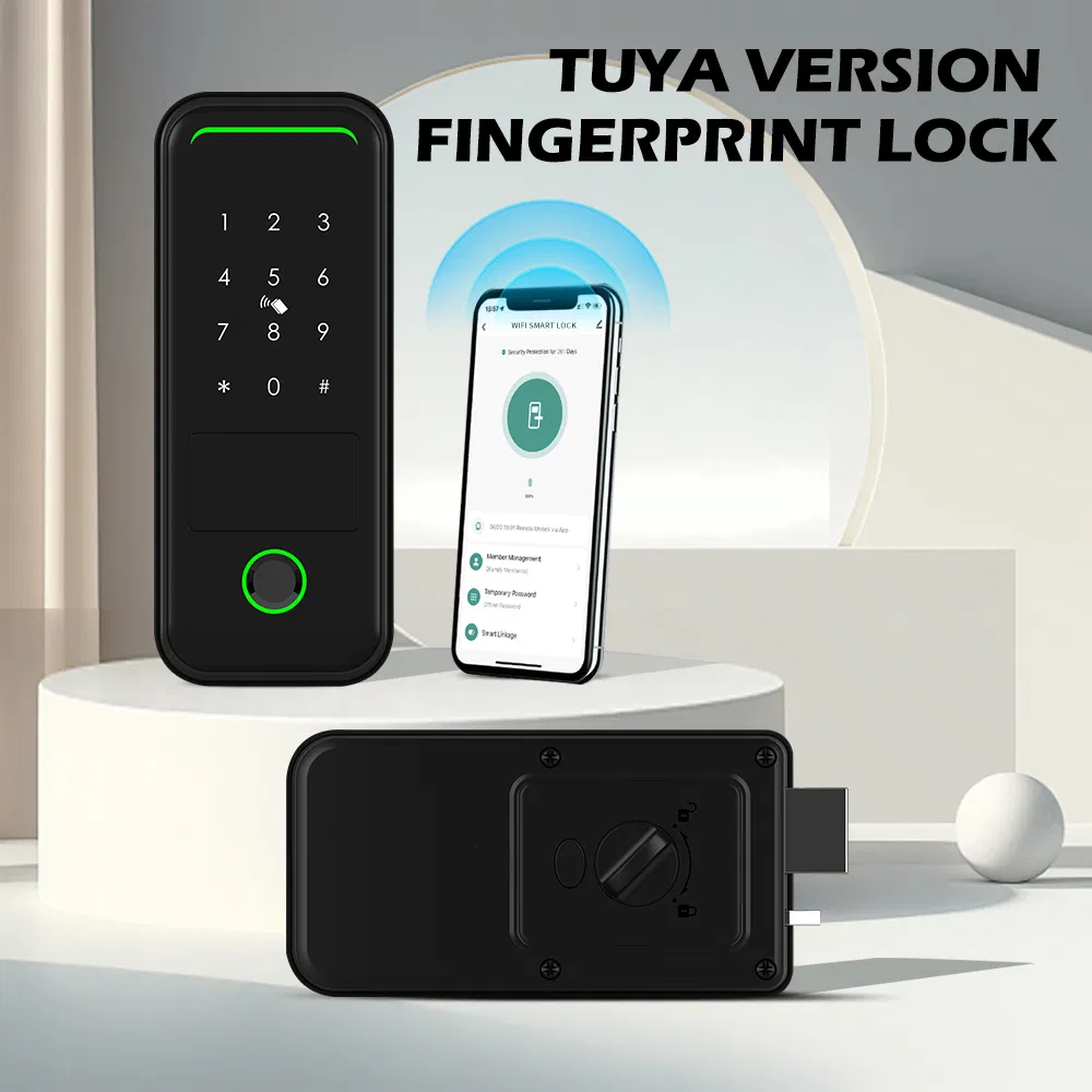 2024 New Design Tuya Rim Lock