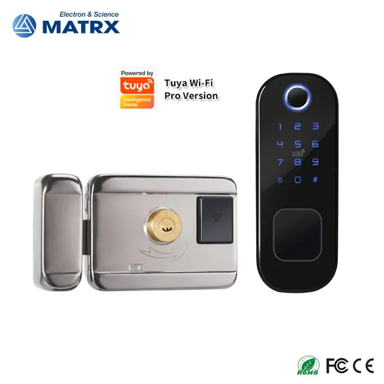 Tuya APP Fingerprint Digital Password Door Lock