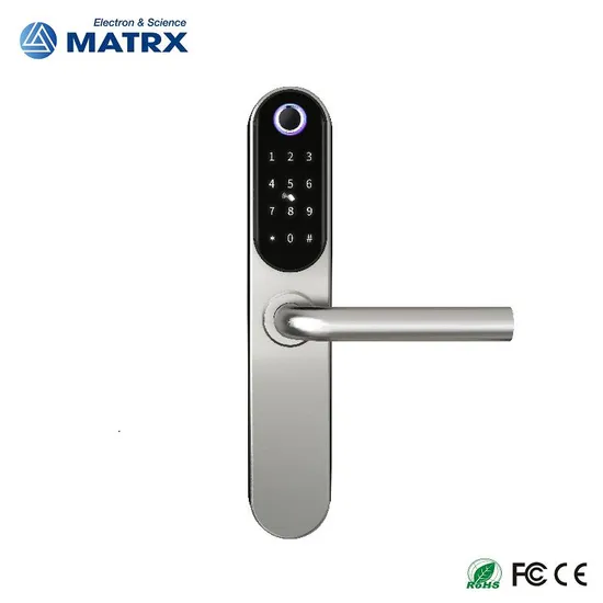 2023 304 Stainless Steel Smart Door Lock with Ttlock APP