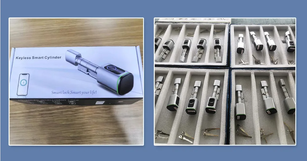 Digital Biometric Fingerprint and Password Intelligent Cylinder Smart Lock with Ttlock APP
