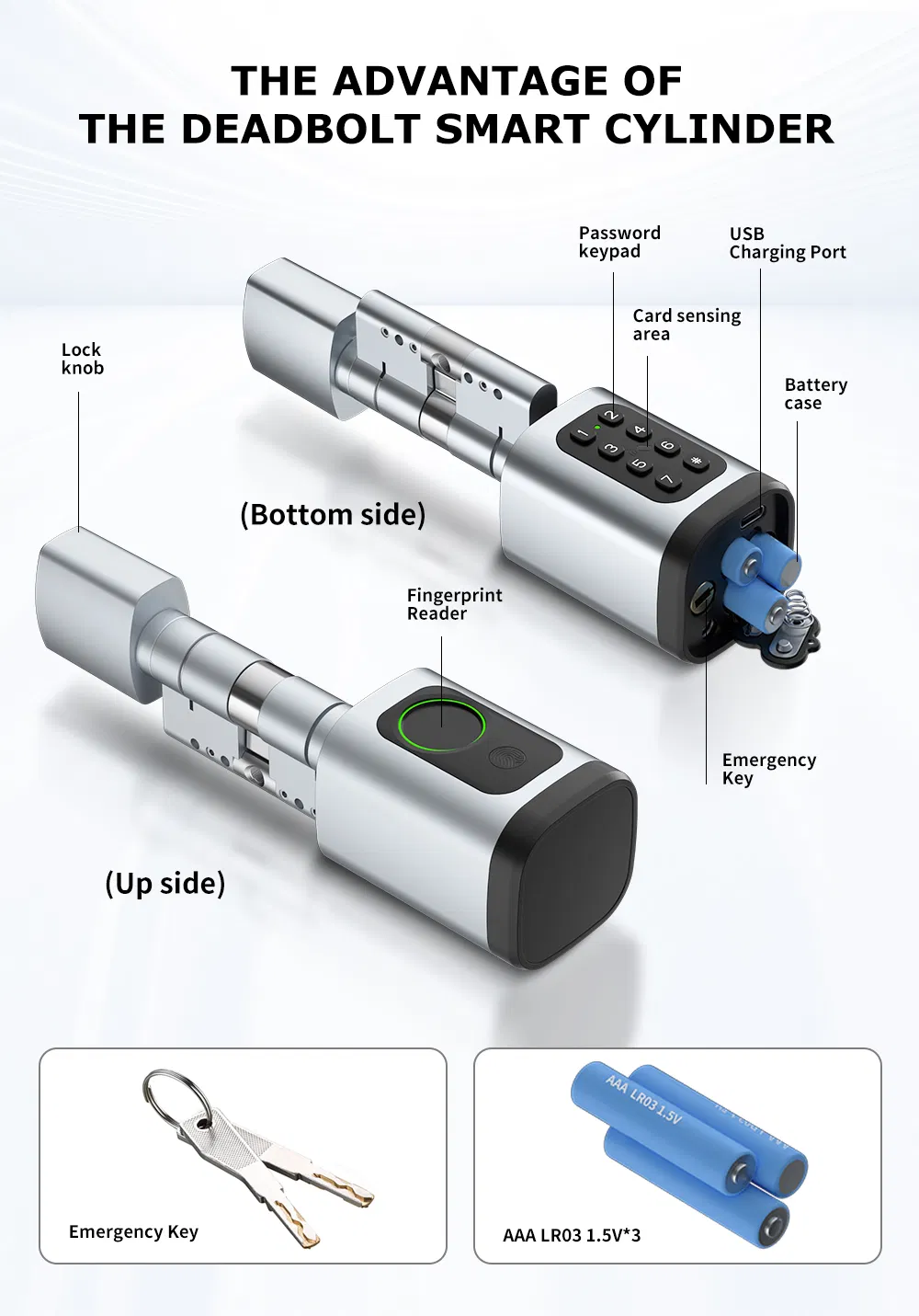 Digital Biometric Fingerprint and Password Intelligent Cylinder Smart Lock with Ttlock APP