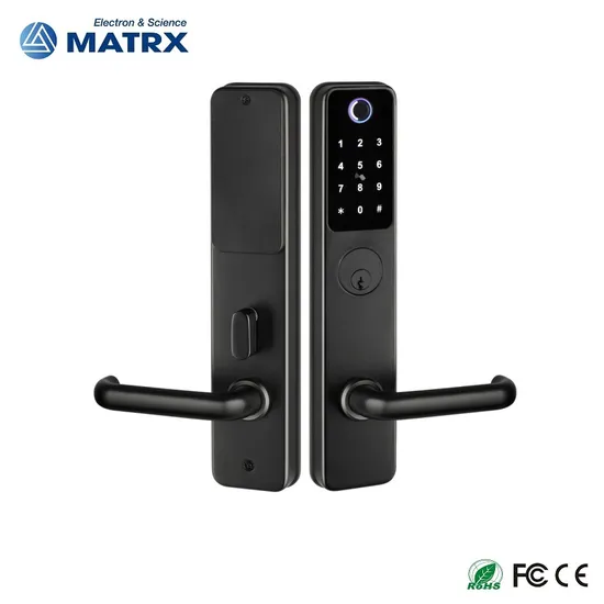 New Product Tuya - System Smart Lock with Waterproof and Fire - Proof Certifications