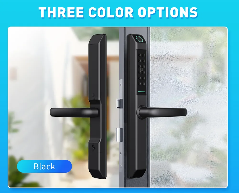 Glass Door and Wooden Door Pull Handle Electronic Security Lock Ttlock Smart Door Lock
