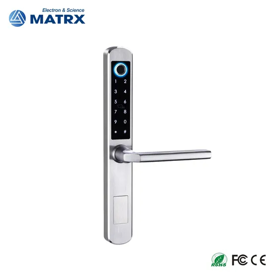 Waterproof Stainless Steel 304 Fingerprint Password Keyless Entry Tuya Samrt Lock