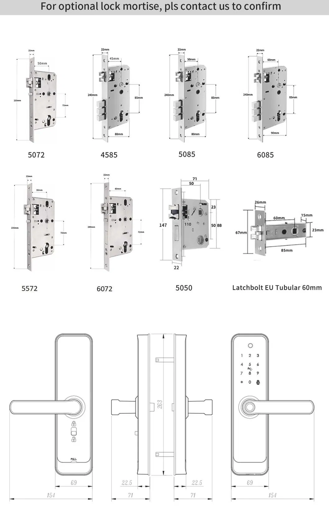 Tuya Smart Electronic Lock with Camera Electronic Cat Eye
