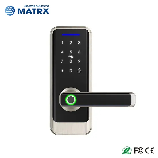 Smart Digital Handle Lock with Fingerprint Password and Tuya Function