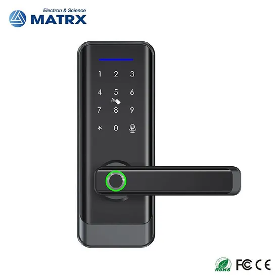 Hot Sale Ttlock APP Remote Control Fingerprint Door Lock