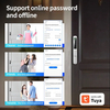 IP65 Double-Sided Fingerprint Stainless Steel Smart Lock with Tuya System