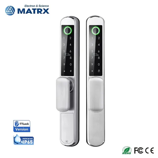 IP65 Double-Sided Fingerprint Stainless Steel Smart Lock with Tuya System