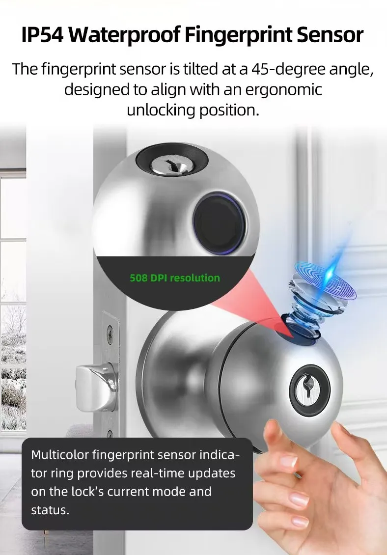 2025 New Model Tuya APP Fingerprint Digital Round Knob Ball Door Lock